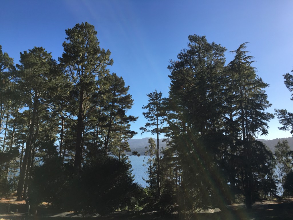 Ask Katie: Are inpatient treatment centers a&nbsp;scam?