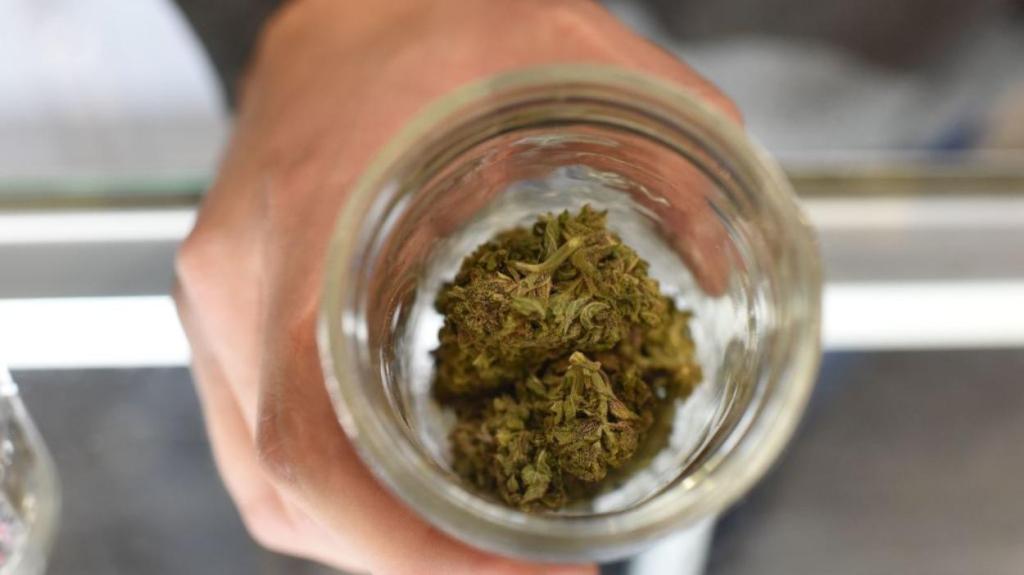 A Sober Person’s Guide to Medical&nbsp;Marijuana