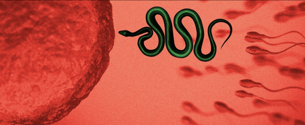 Fertility Doctors Used Their own Sperm to Get Patients Pregnant. The Children Want Justice